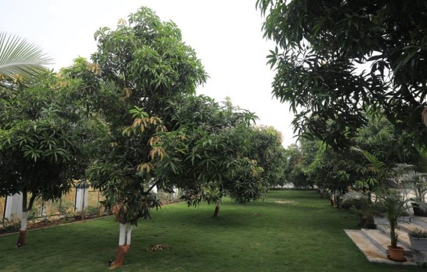 Jainam pure veg villa -7 -Wada