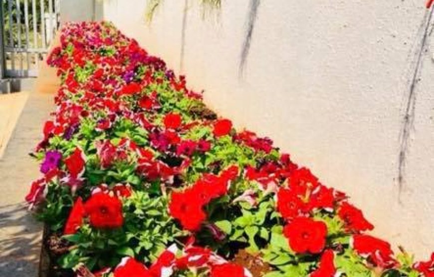 Jainam pure veg villa -7 -Wada