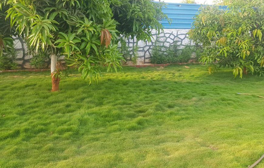 Jainam pure veg villa -7 -Wada