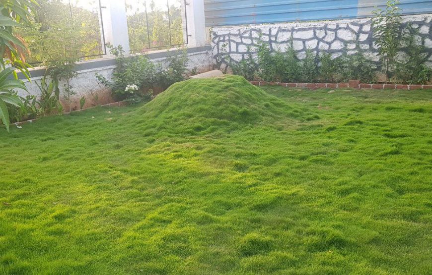 Jainam pure veg villa -7 -Wada