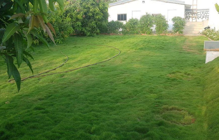 Jainam pure veg villa -7 -Wada