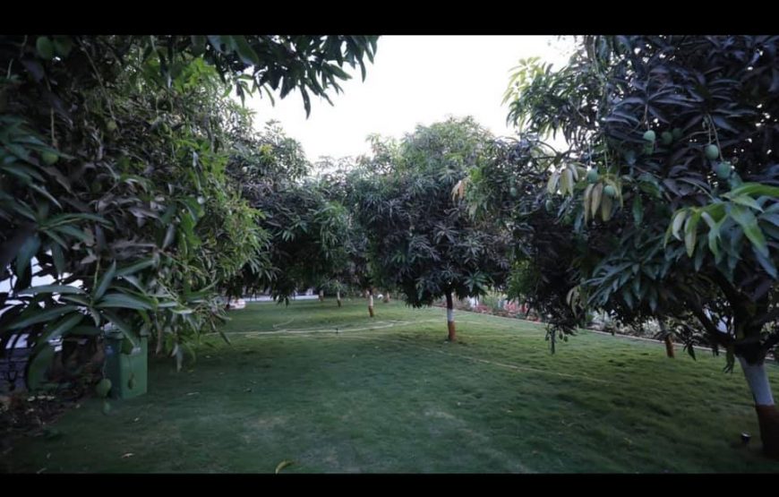 Jainam pure veg villa -7 -Wada