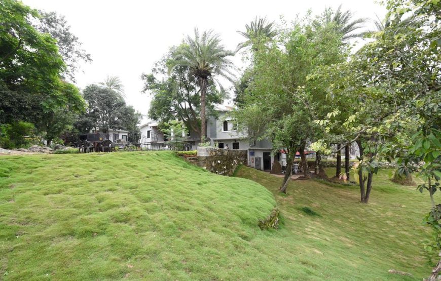 JAINAM R29