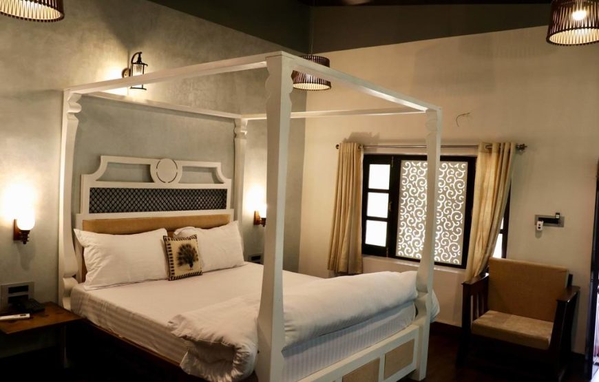 JAINAM R29