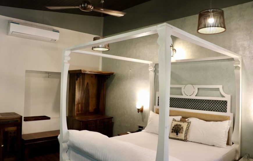 JAINAM R29