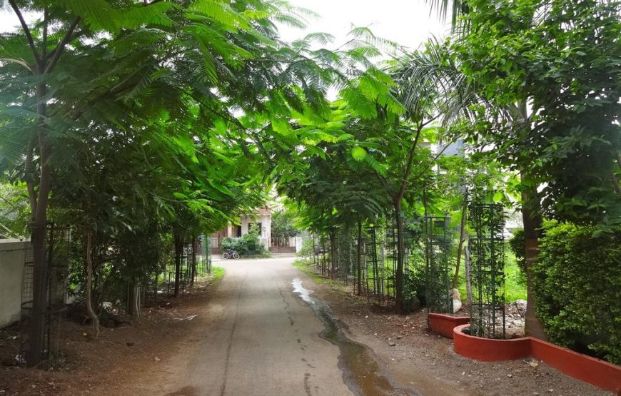 JAINAM N48