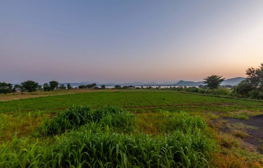 JAINAM I28